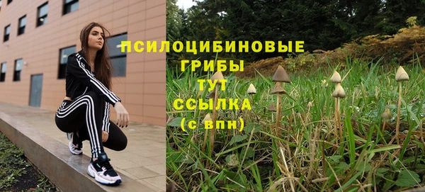 спайс Зеленокумск