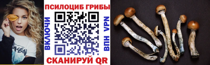 Галлюциногенные грибы мицелий  Купить  Касли 